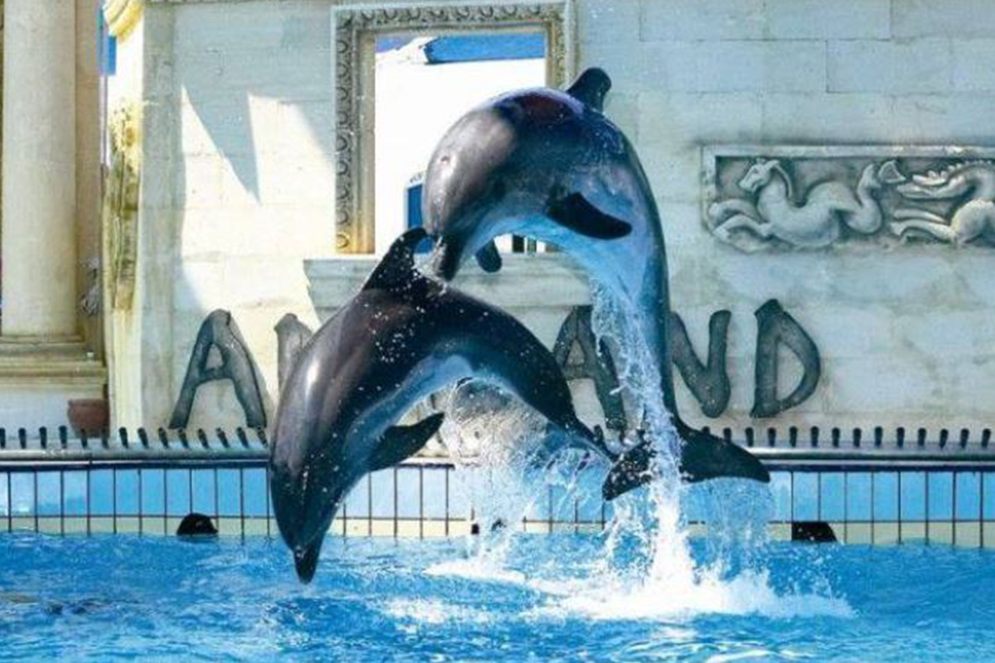 Adaland Aquapark & Dolphinpark