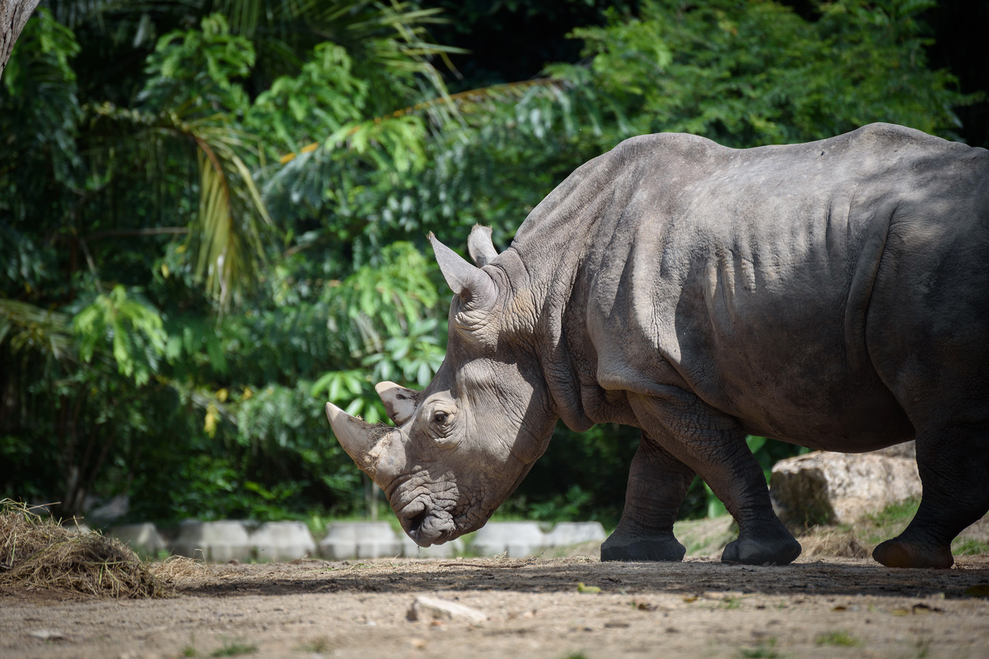 Welt der Tiere