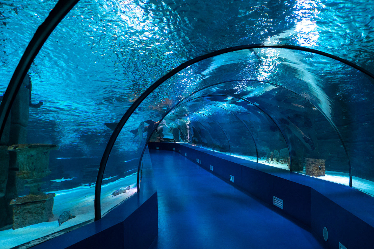 Antalya & Aquarium