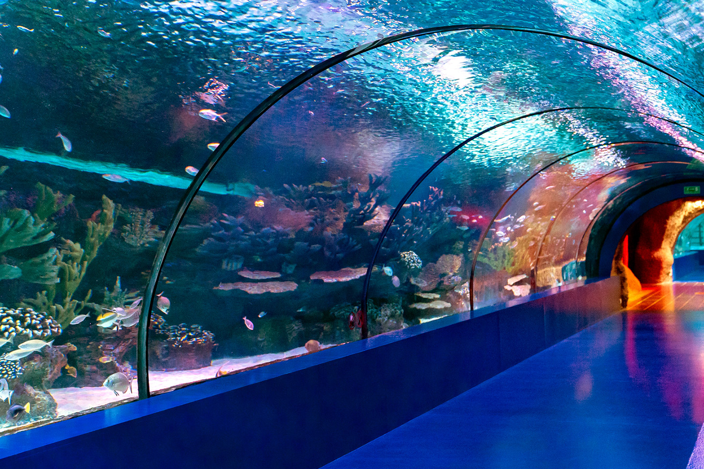 Antalya & Aquarium