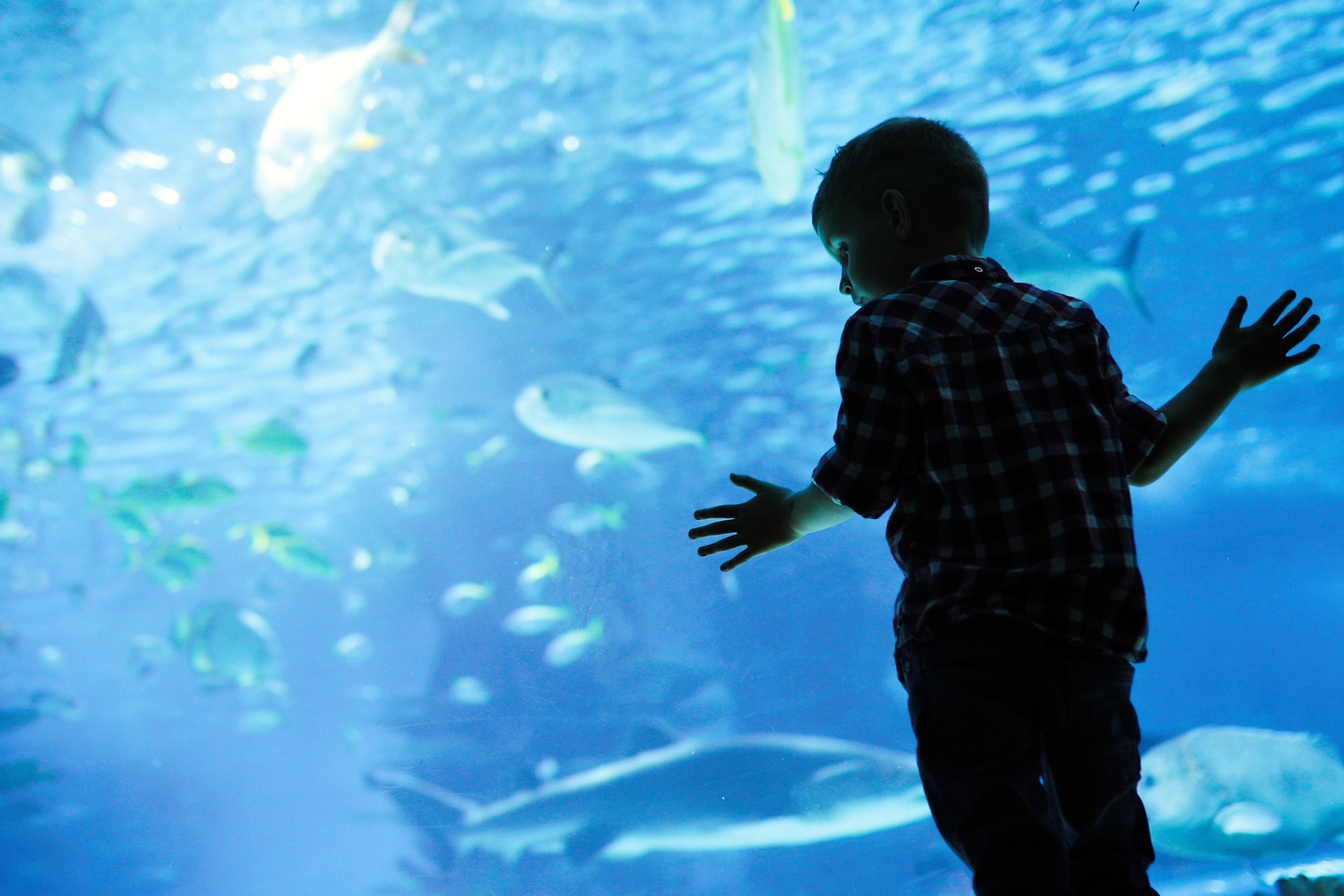 Grand Aquarium, Sand City