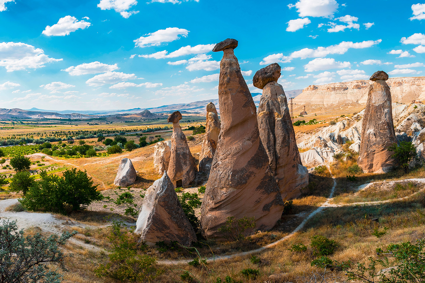 Cappadocia Over Night