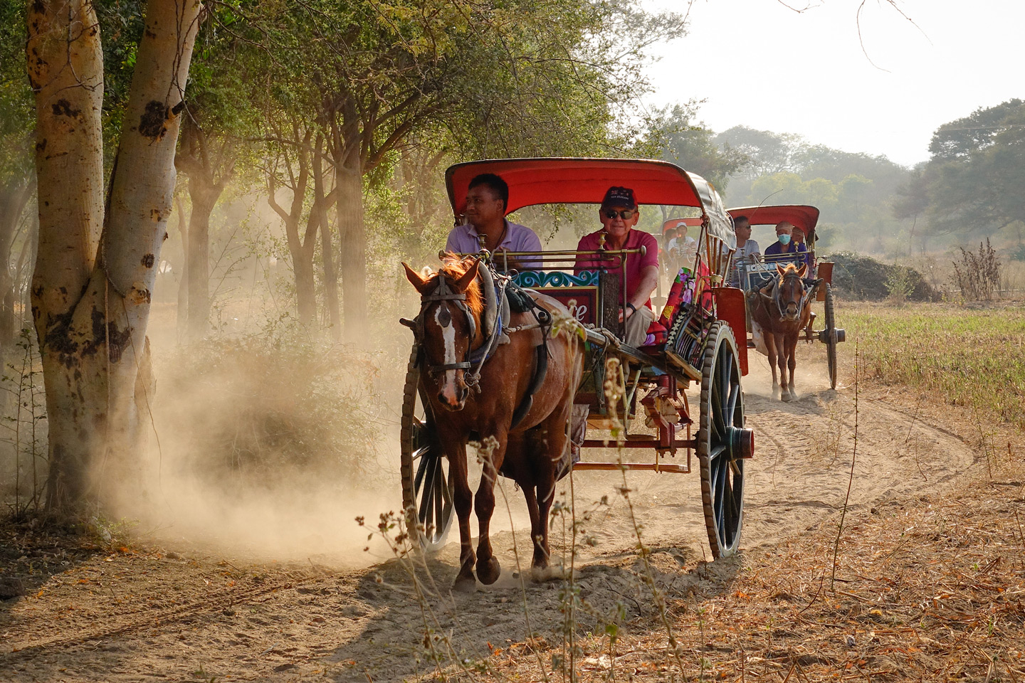 Caravana (Călătorie cu cămilele)