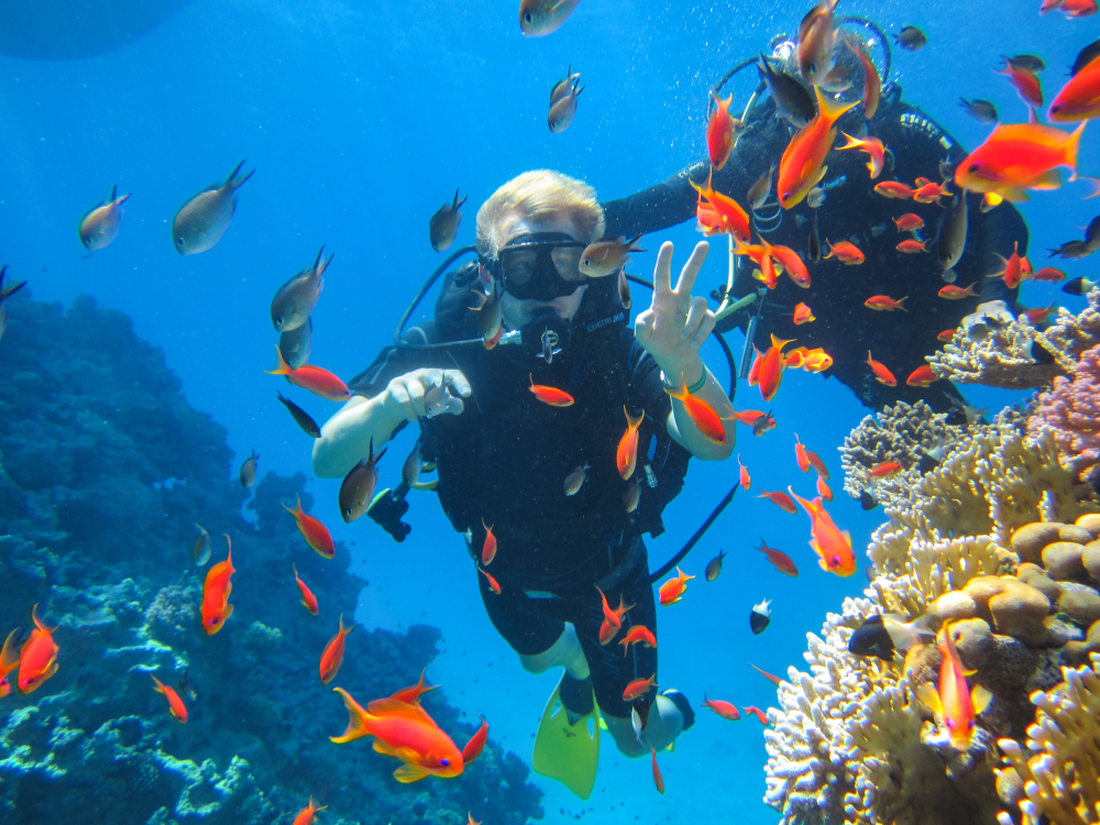 Snorkeling i nurkowanie w Ras Mohammed