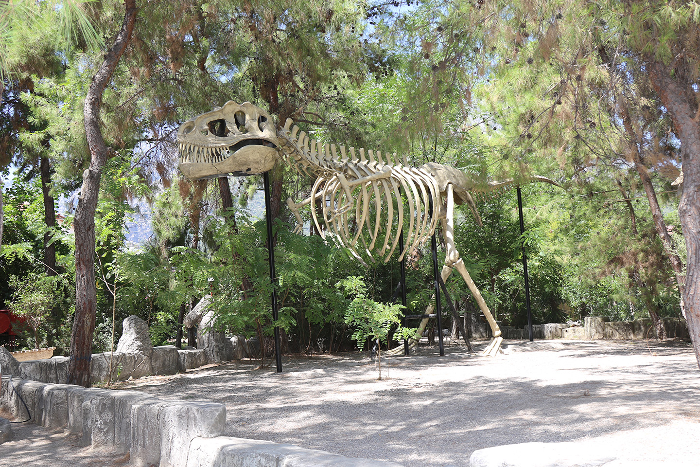 Dinozor Parkı