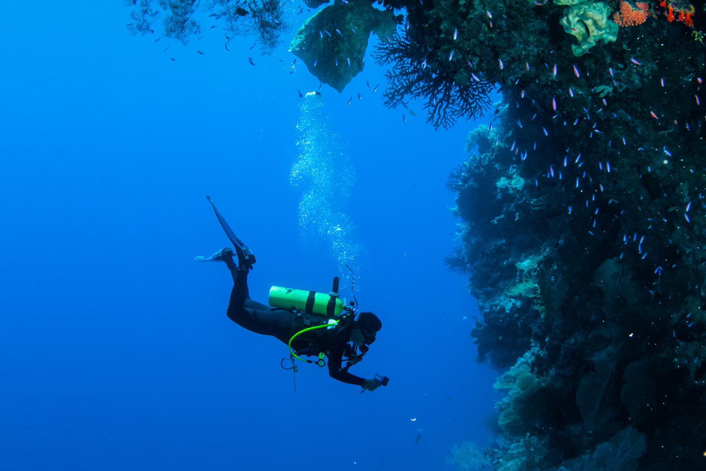 Diving Alanya