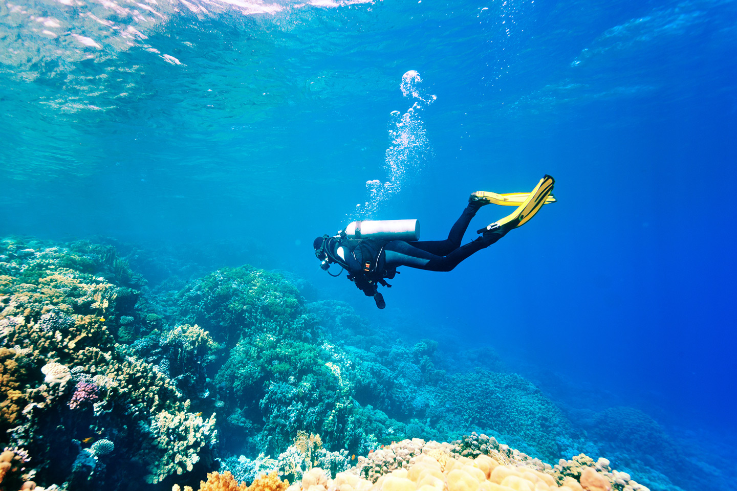 Diving Alanya