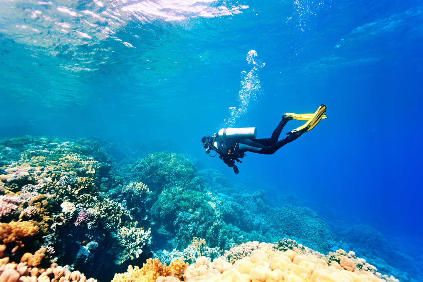 Scufundări și Snorkelling