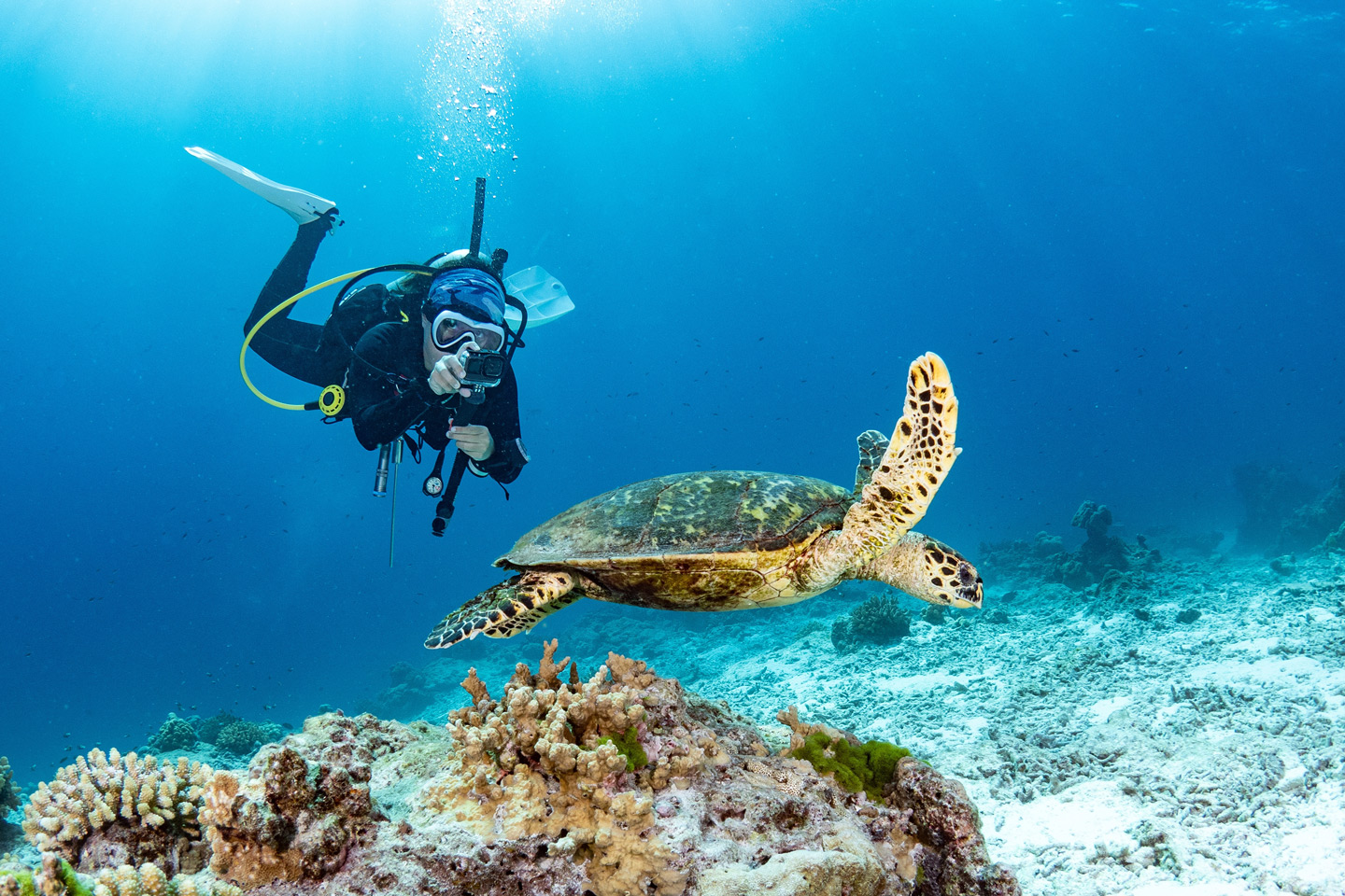 Scufundări și Snorkelling