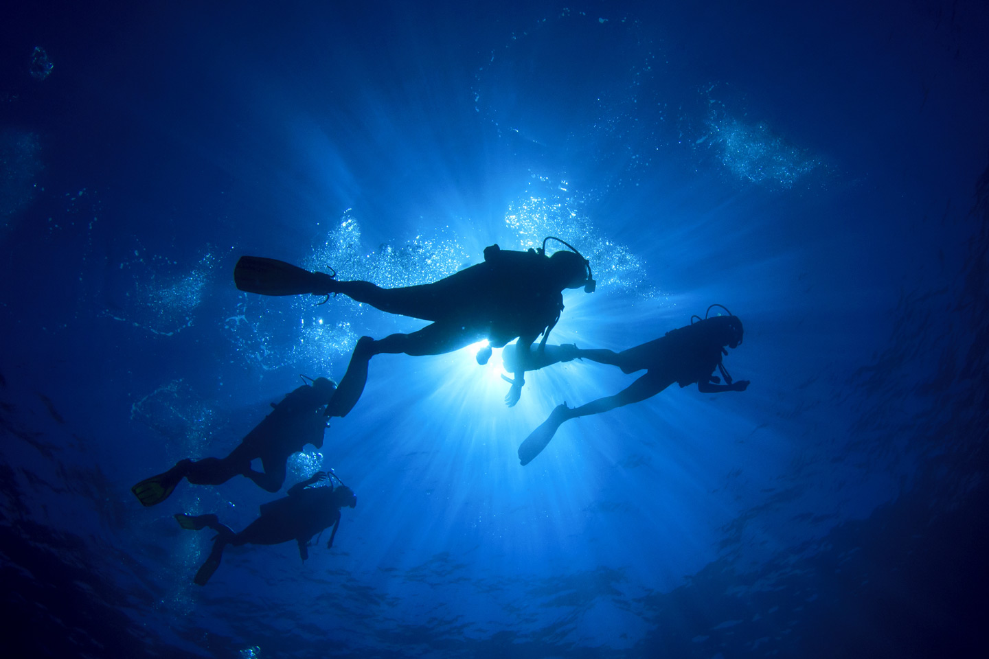 Scufundări și Snorkelling