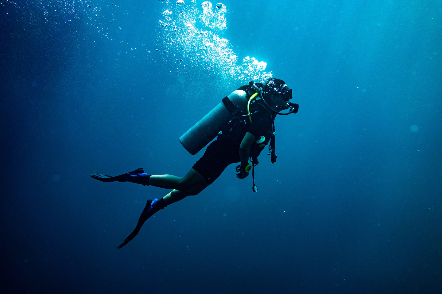 Scufundări și Snorkelling