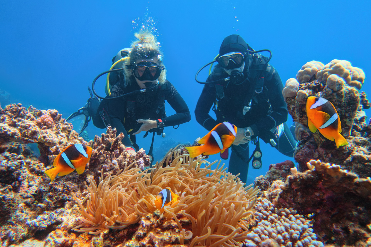 Tauchen in Hurghada