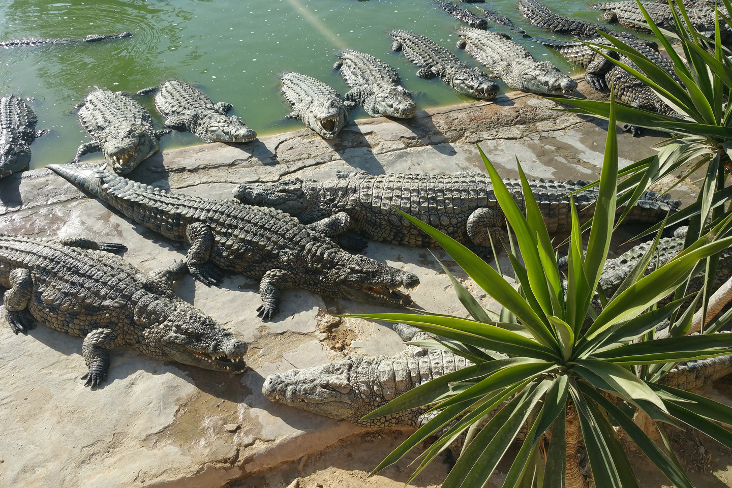 Djerba Explorer Park