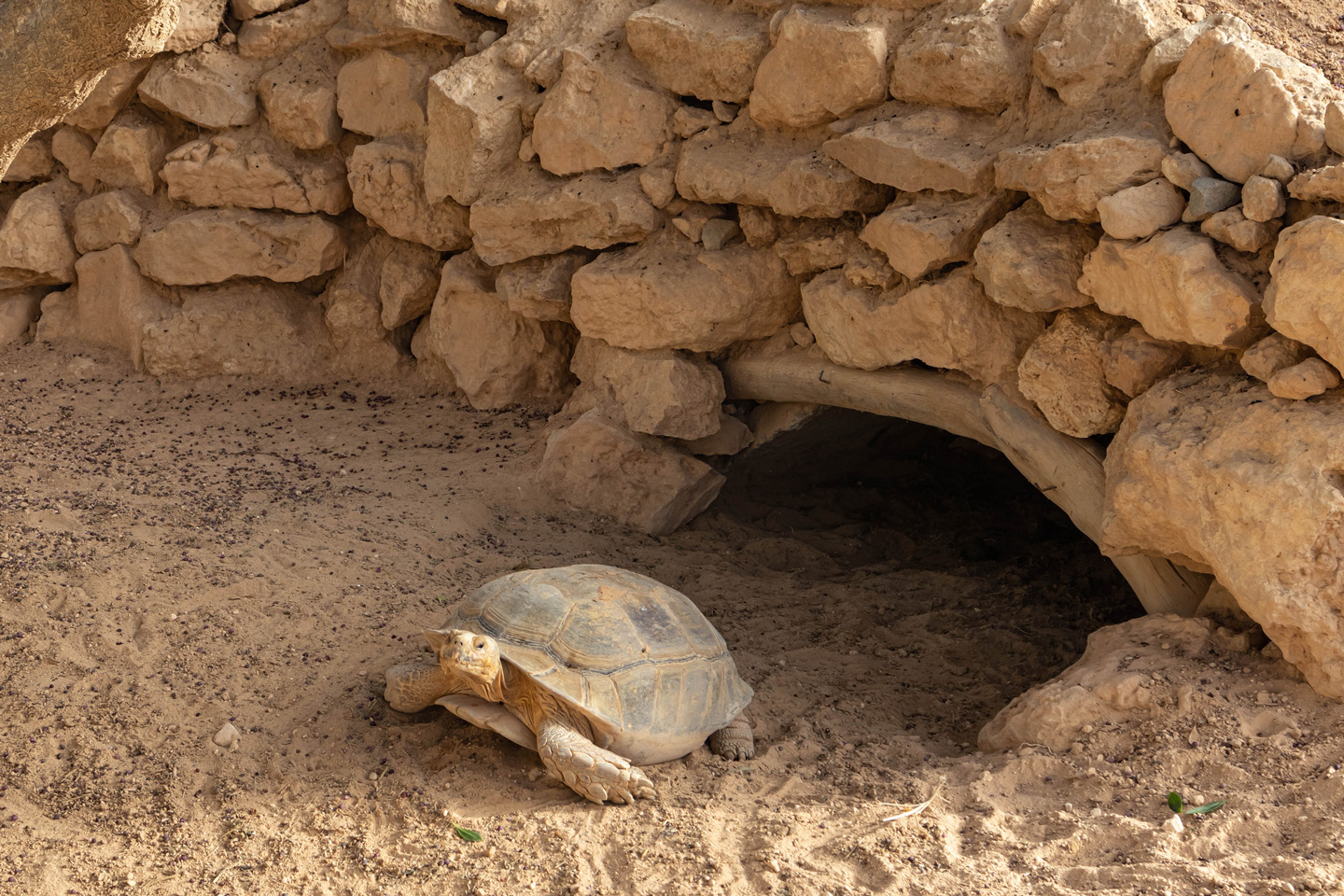 Djerba Explorer Park