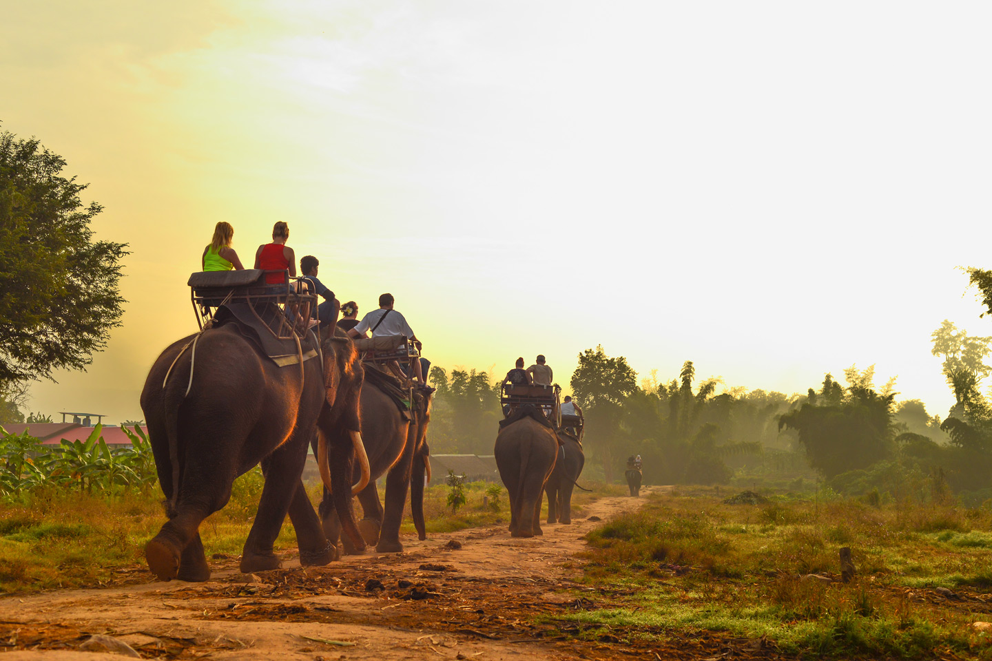 Dolina Tour and Quad-Safari