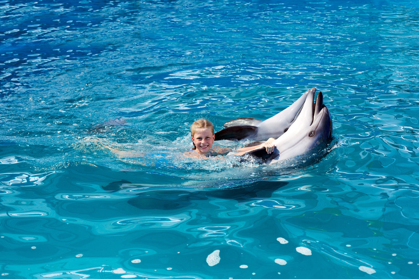 Mit Delphinen Schwimmen