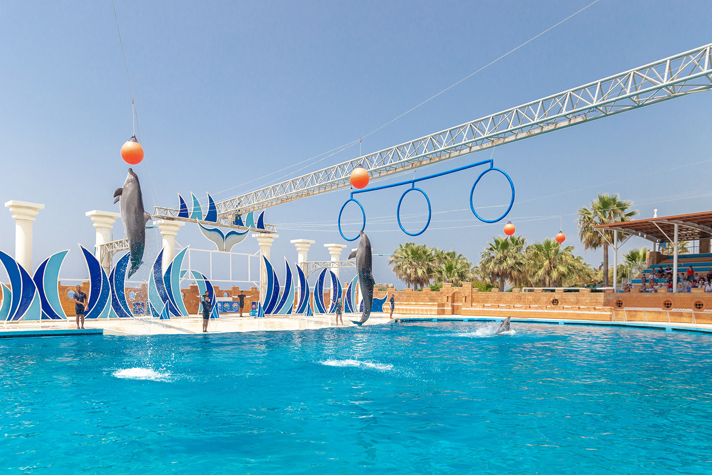 Dolphinarium