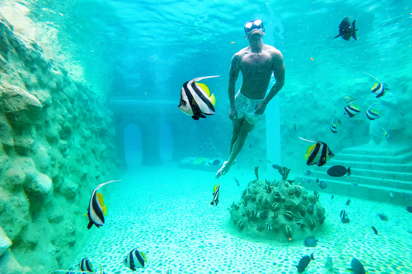 Dolphinarium