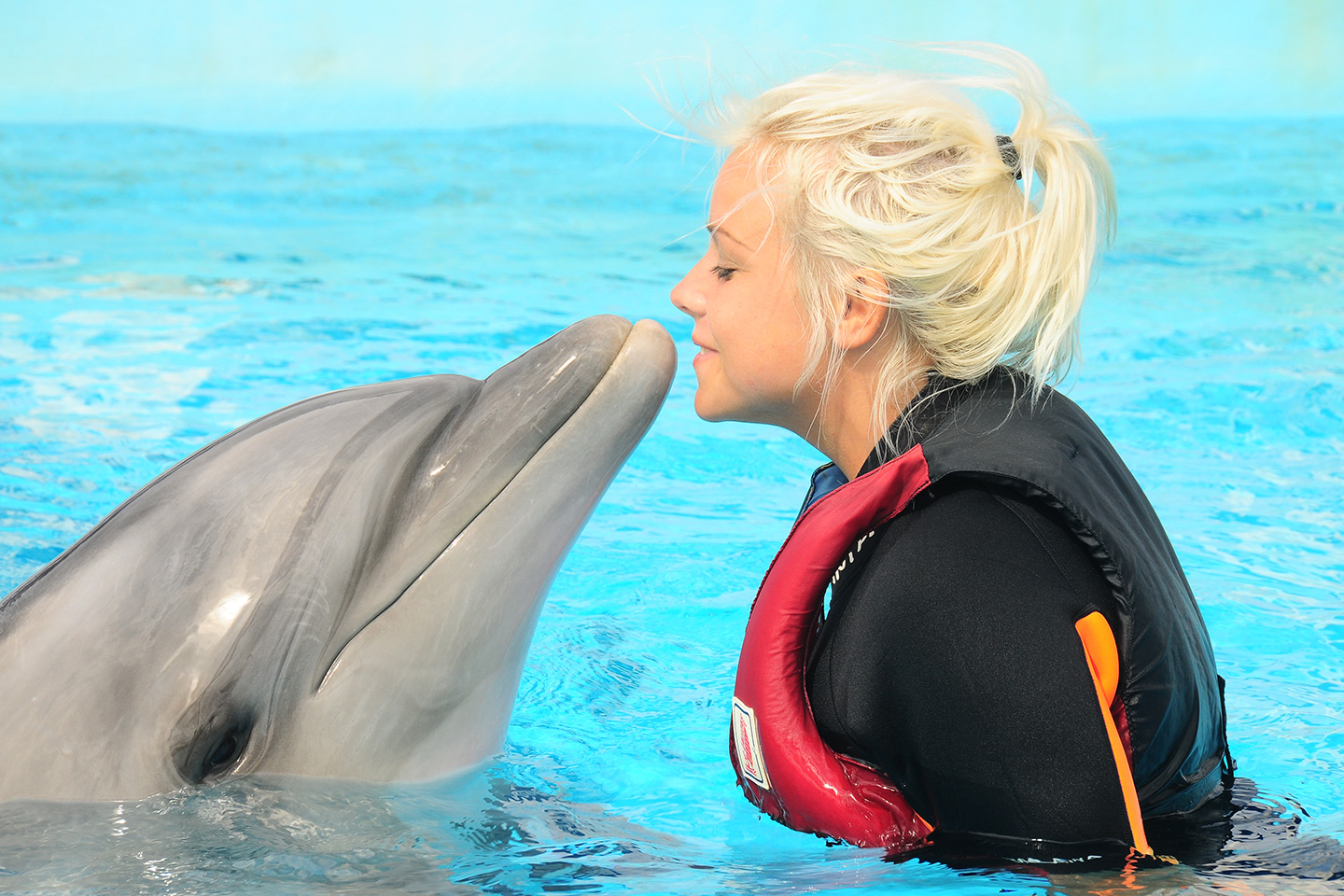 Dolphinarium