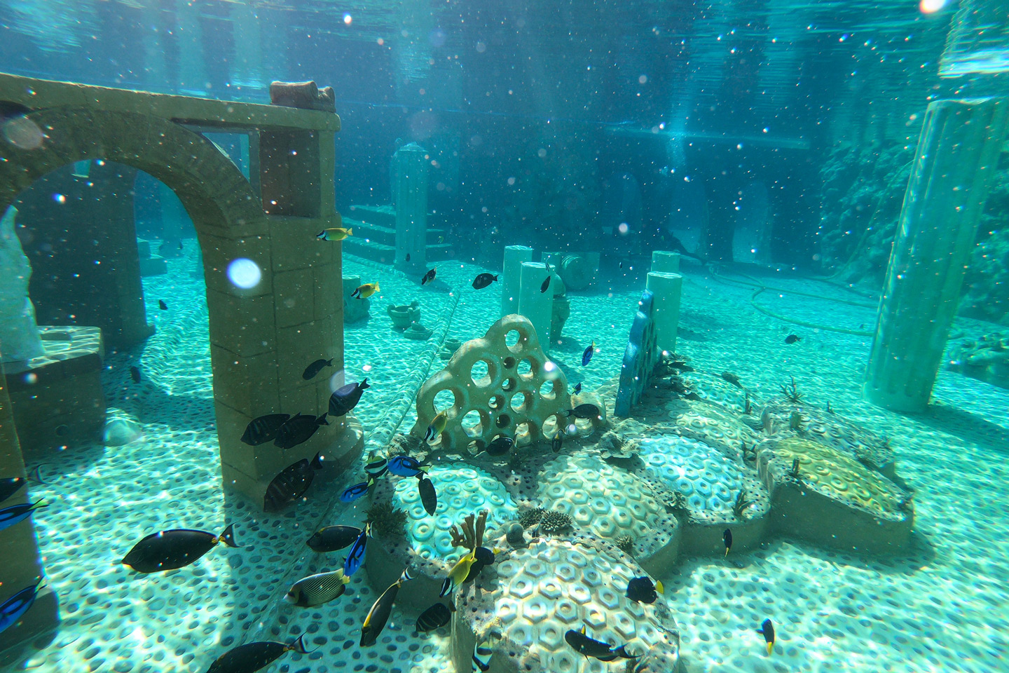 Dolphinarium