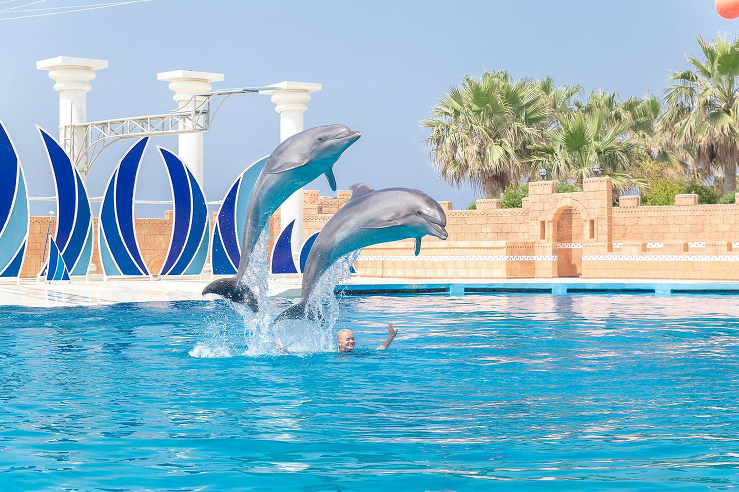 Dolphinarium
