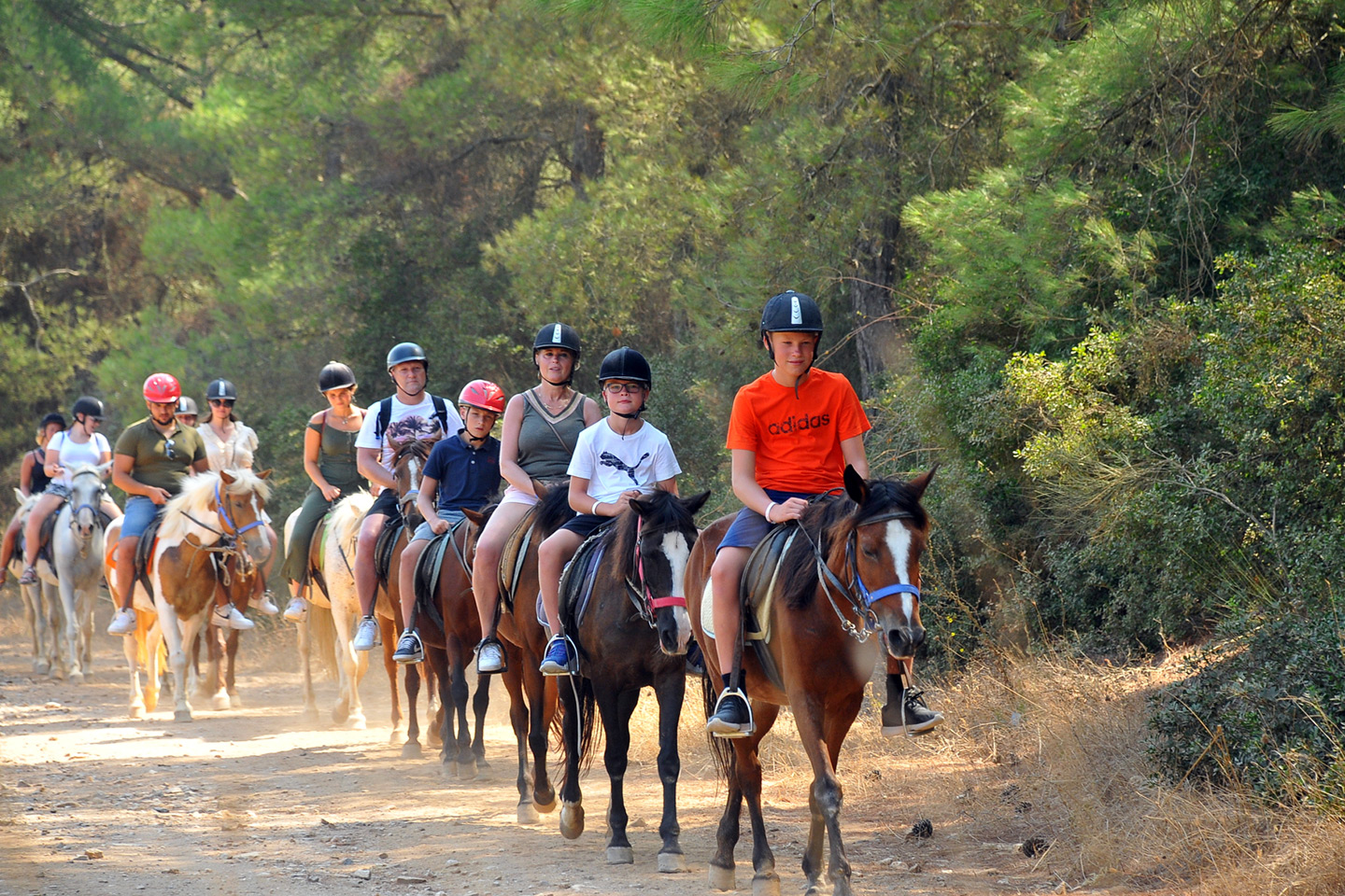 Horse Riding Experience