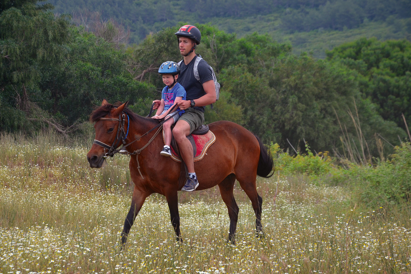 Horse Safari