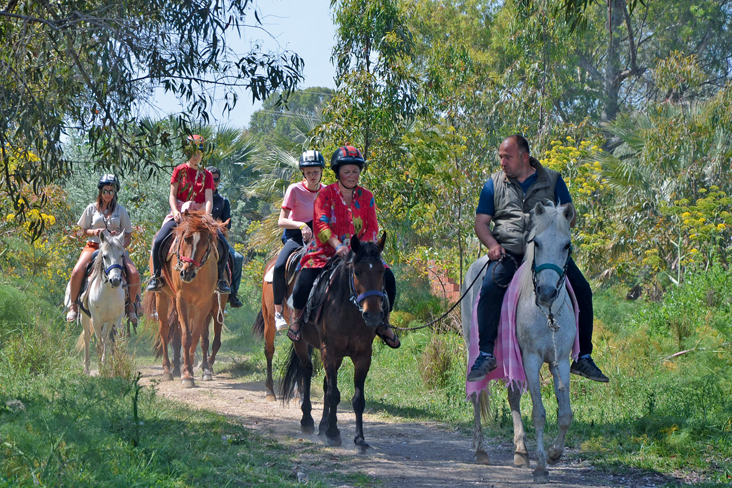 Horse Safari