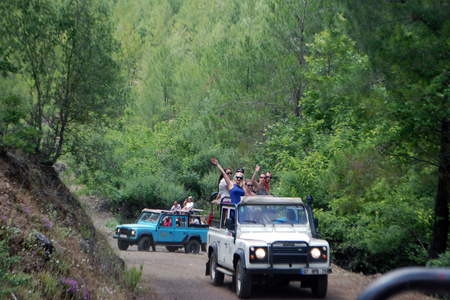 Jeep Safari