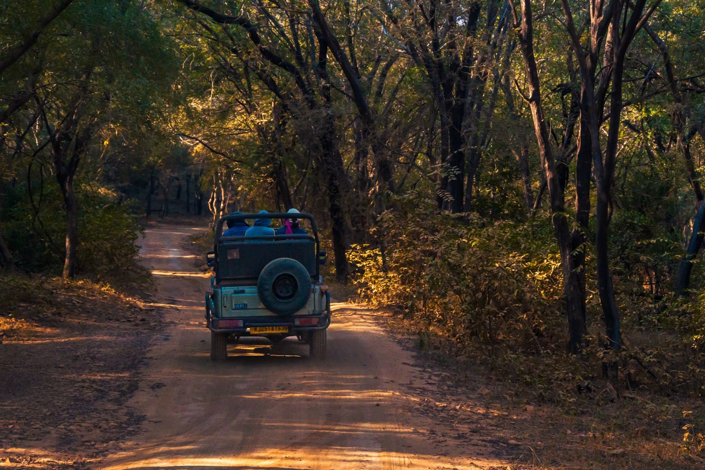 Jeep Safari & Sapadere Canyon