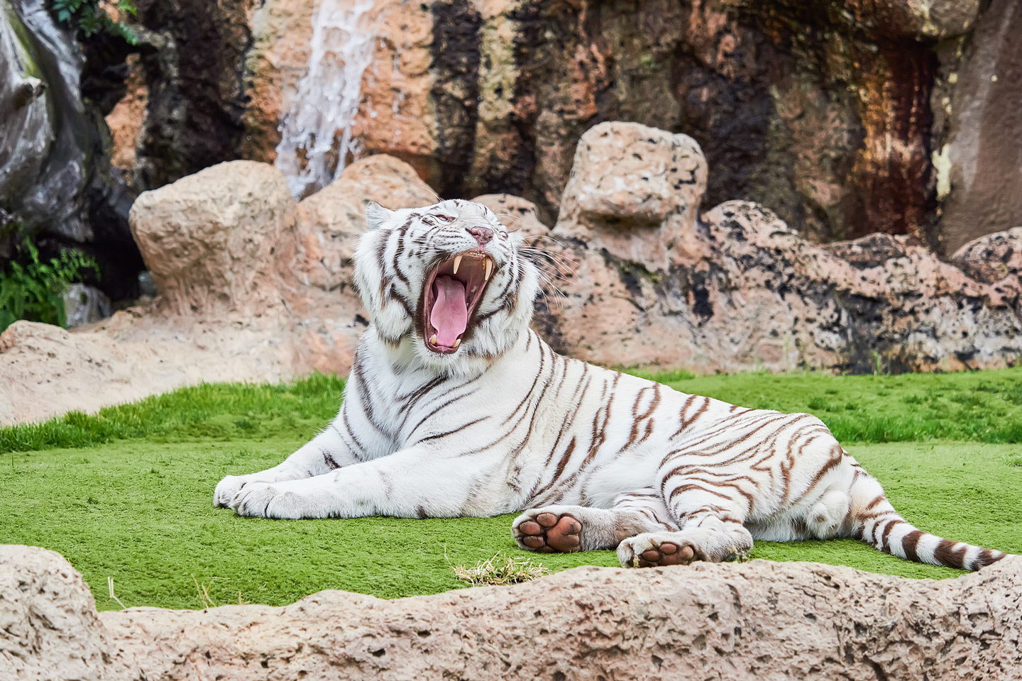 Loro Parque