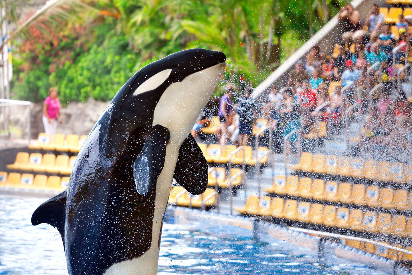 Loro Parque