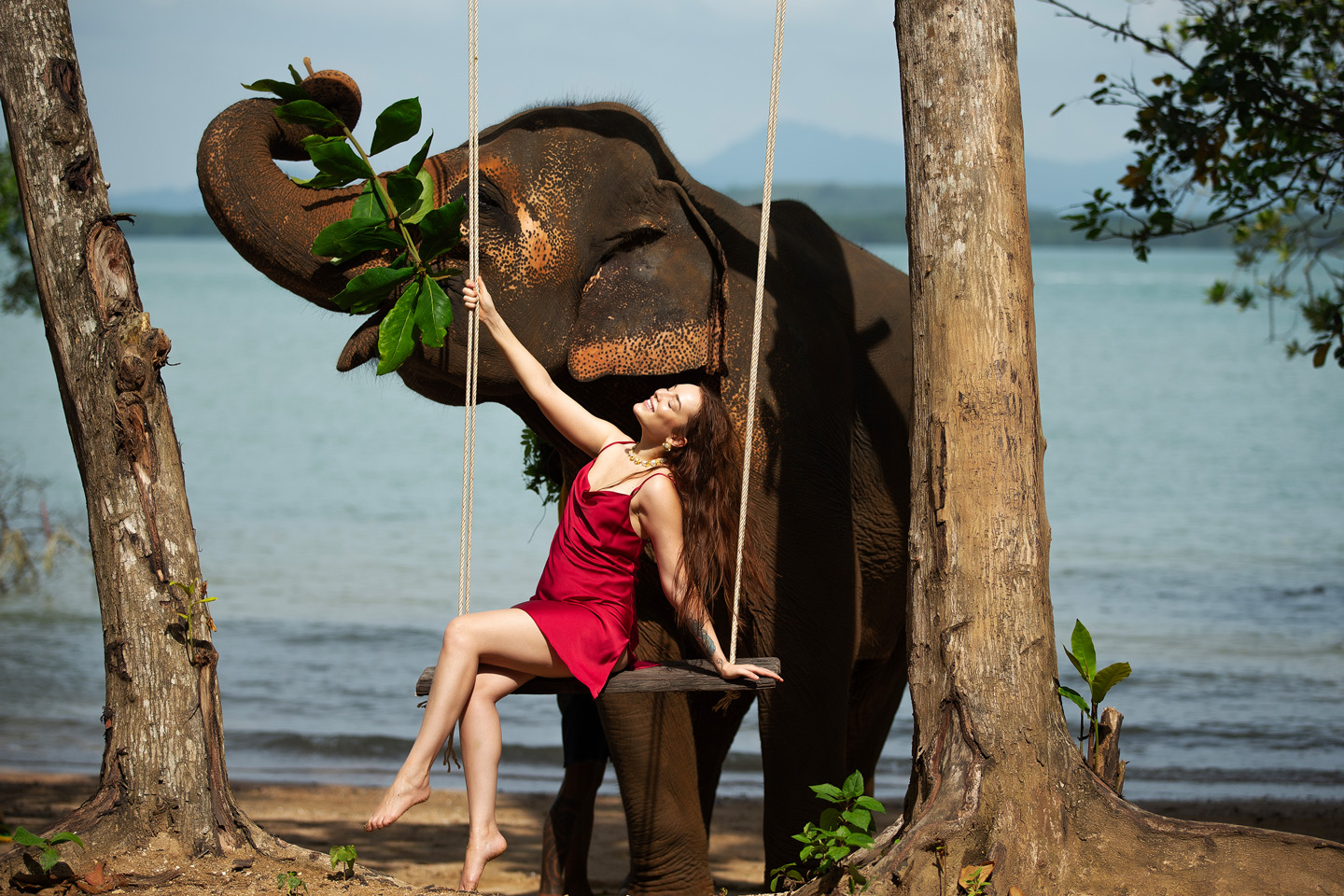 Phuket Elephant Care