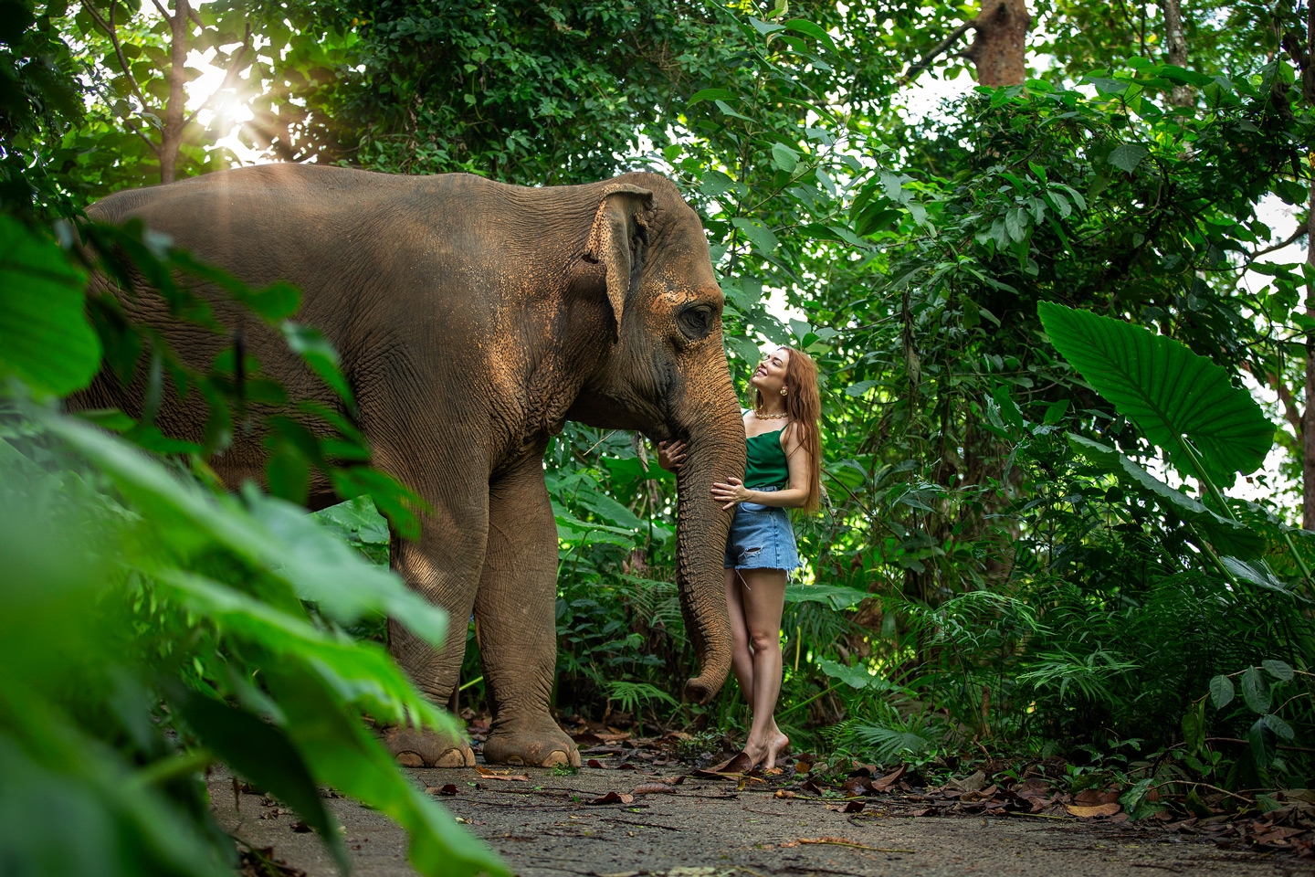 Phuket Elephant Care