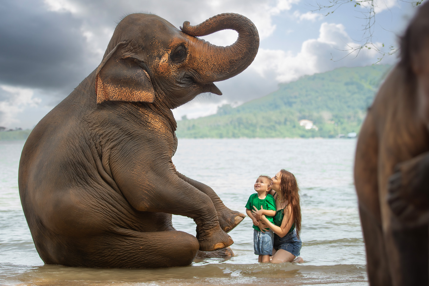 Phuket Elephant Care