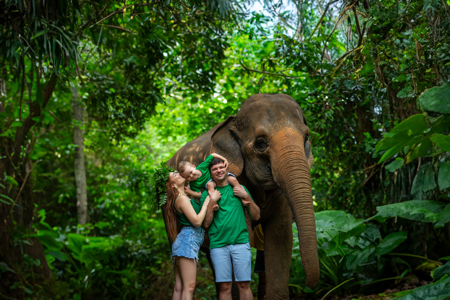 Phuket Elephant Care