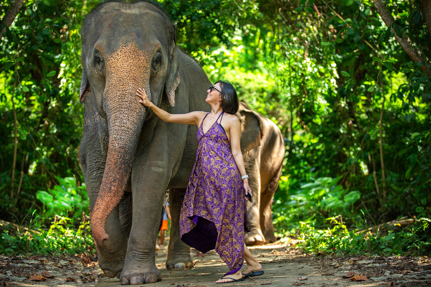 Phuket Elephant Care