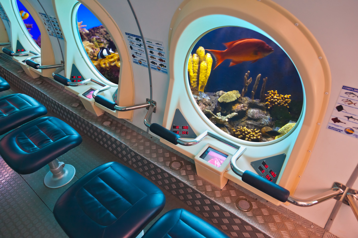 Submarine Safari