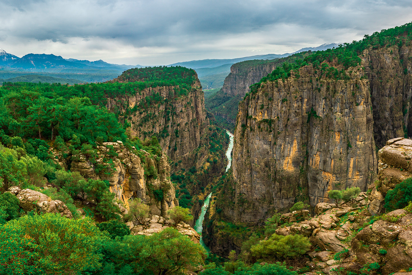 Tazı Kanyonu