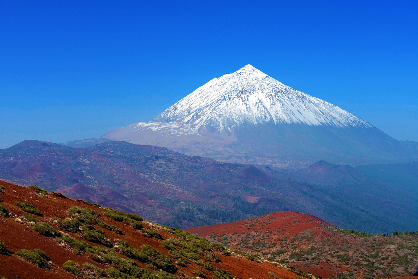 Teide Vulcano Tour