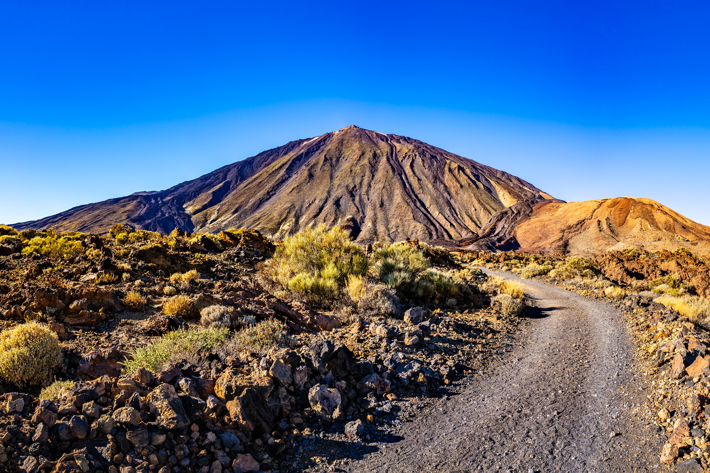 Teide Vulcano Tour