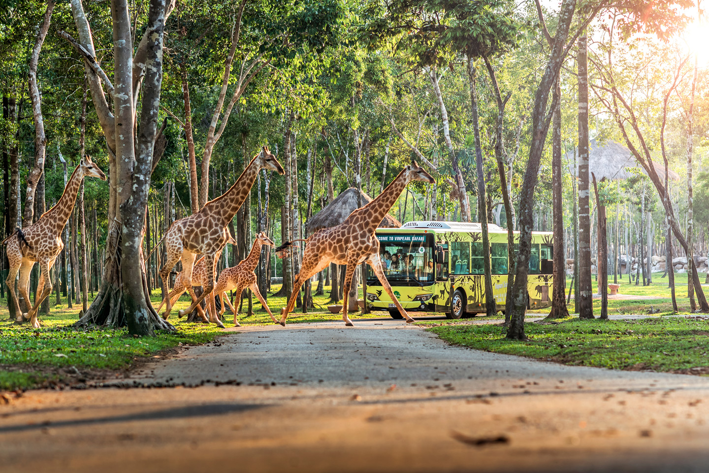 Vinwonders și Vinpearl Safari