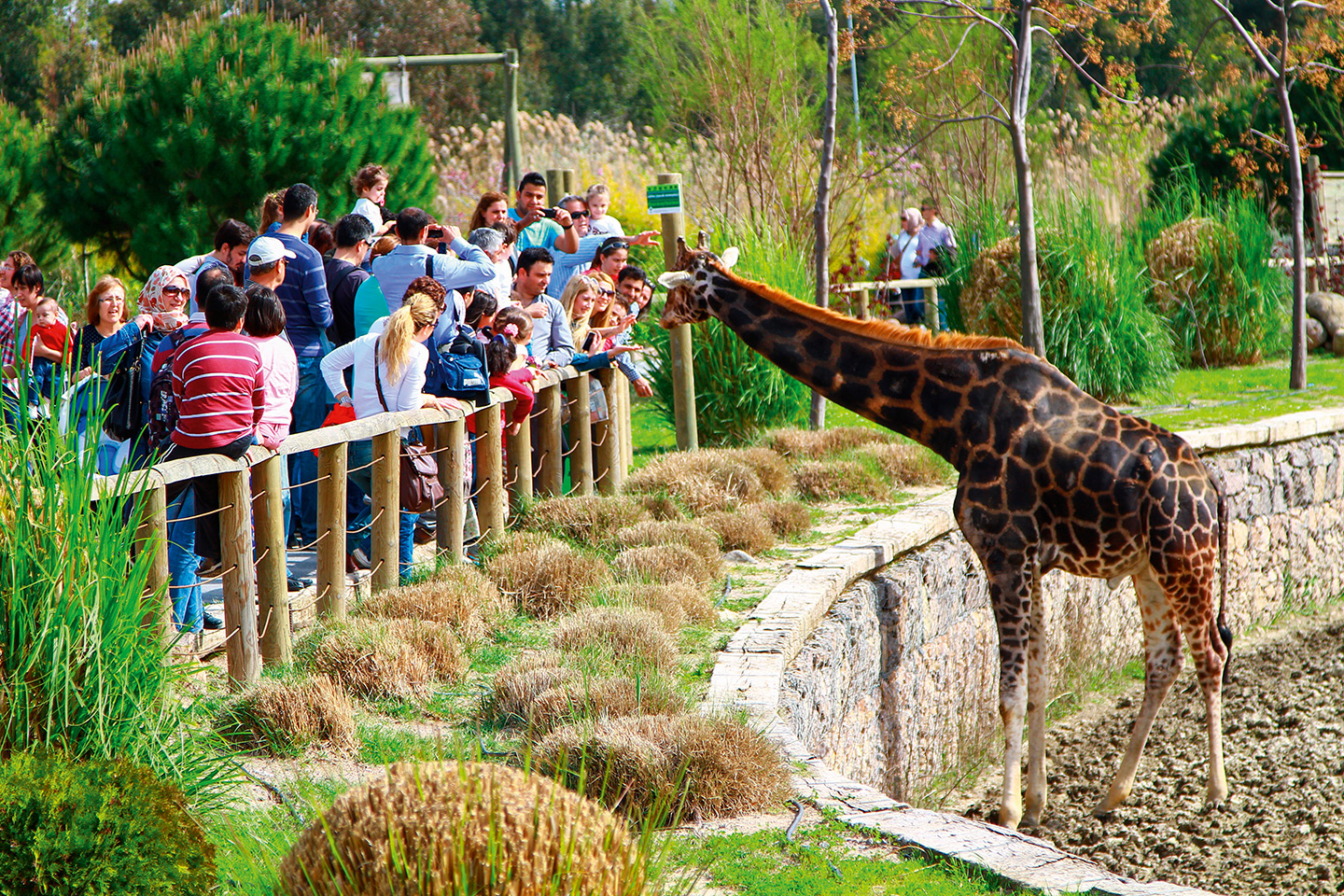 Wildlife Park Tour