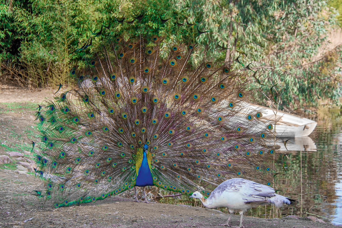 Wildlife Park Tour